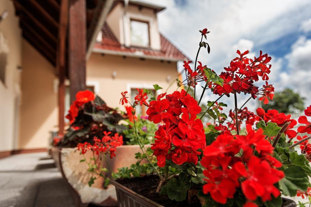 Hôtel Vera à Sulechów Extérieur photo